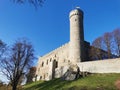 The tower and walls of Toompea Castle from the side of the road, seen through the branches of a tree with growing young leaves