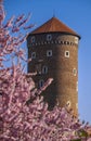 Tower of the Wawel Castle in flowers, Krakow, Poland Royalty Free Stock Photo