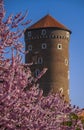 Tower of the Wawel Castle in flowers, Krakow, Poland Royalty Free Stock Photo