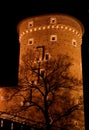 Tower at Wawel - Krakow Royalty Free Stock Photo