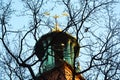 Tower with a weather vane of three crowns through the branches of a tree against a background of clear sky