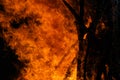 Towering Bonfire, Fiery Night Royalty Free Stock Photo