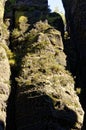 Towering cliff covered with moss in various parts Royalty Free Stock Photo