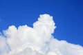 Towering white cumulus cloud into rich blue sky