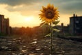 Towering Lonely sunflower. Generate Ai Royalty Free Stock Photo