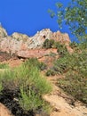 Towering Monoliths in Zion National Park Royalty Free Stock Photo