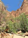 Towering Monoliths in Zion National Park Royalty Free Stock Photo