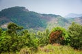 Towering mountain ranges of Servarayan hills, Yercaud