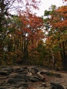 Fall Foliage Line Rocky Hiking Trail