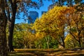 Towers and Autumn Color in New York City`s Central Park Royalty Free Stock Photo