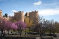 Towers of Avila Medieval Walls at spring - Avila, Spain Royalty Free Stock Photo