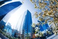 Towers of La Defense district and blossomed trees Royalty Free Stock Photo