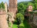 Towers and ruined walls of Heidelberg castle