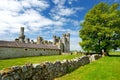 The towers and turrets of Ducketts Grove, a ruined 19th-century great house and former estate in Ireland.