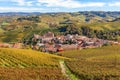 Town of Barolo among vineyards in Italy.