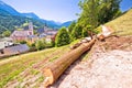 Town of Berchtesgaden hillside path, chopped tree in Alpine landscape