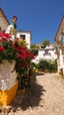 Portugese white houses in fortified medieval town Obidos in Portugal