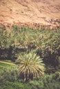 Town in Dades Valley, Morocco Royalty Free Stock Photo