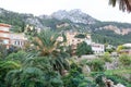 Town Estellencs, palm tree and mountain on Majorca