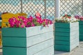 Town flowers in the big wooden pots on street. Interior street cafe with flowers in wooden pot. Landscaping and decoration of city Royalty Free Stock Photo