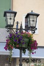 Lamppost decored with flowers Royalty Free Stock Photo