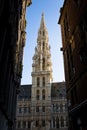 Town Hall, Groote Markt, Brussels Royalty Free Stock Photo