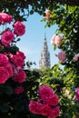 Town Hall Vienna in spring Royalty Free Stock Photo