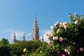 Town Hall Vienna in spring Royalty Free Stock Photo