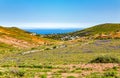 Town Haria, Island Lanzarote, Canary Islands, Spain, Europe