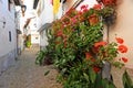 Aspidistras and geraniums flowers in the Jewish quarter of Hervas, Caceres province, Spain Royalty Free Stock Photo