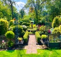 Town House Back Garden in Summer