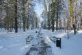 Winter morning in the Manor Park in the town of IÃâowa in western Poland. Royalty Free Stock Photo