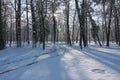 Winter morning in the Manor Park in the town of IÃâowa in western Poland. Royalty Free Stock Photo