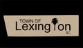 Town of Lexington South Carolina with best quality Royalty Free Stock Photo