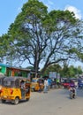 Town of Malindi, Kenya Royalty Free Stock Photo