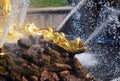 Attractions of the Peterhof Museum-reserve. Sculptures of the main fountain `Grand cascade`.
