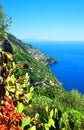 Town Praiano, Amalfi Coast, Peninsula of Sorrento, Gulf of Salerno, Italy, Europe Royalty Free Stock Photo