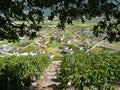 Town of saillon view from vineyards switzerland