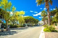 Town of Sainte Maxime palm street view Royalty Free Stock Photo