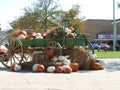 Town Square Gets Ready For Fall