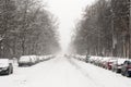 Town Street During Snowfall