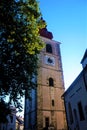 Town tower of Ptuj behind tree Royalty Free Stock Photo