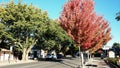 Town View @ Hahndorf Australia Royalty Free Stock Photo