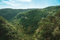 Townhouses on top of hill covered by lush forest