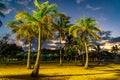 Townsville, Queensland, Australia - Beautiful sunset on a palmy beach