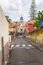 Townview of Funchal city Royalty Free Stock Photo