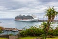 Townview of Funchal city Royalty Free Stock Photo