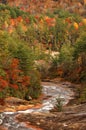 North Carolina Toxaway River In Autumn