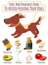 Toxic and dangerous foods to avoid feeding your dogs. Royalty Free Stock Photo