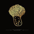 Toxic magical hallucinogenic mushroom. Fly agaric gold sticker. Hand drawn toadstool concept. Golden drawing of a fly agaric